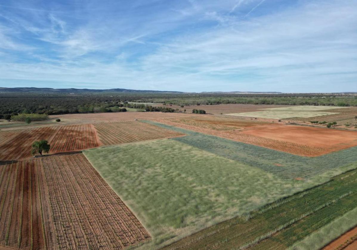 Superficie agraria en la provincia de Burgos.