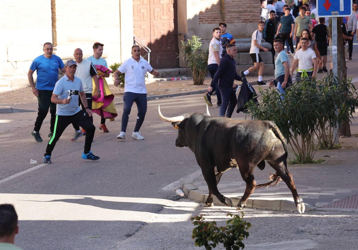 El toro se fija en uno de los aficinados.