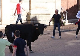 El Toro del Sarmiento toma las calles de La Seca