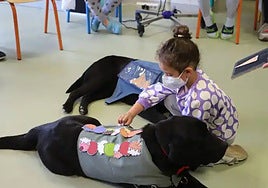Una niña juega con Uva y Java, dos de los perros que acuden al HUBU.