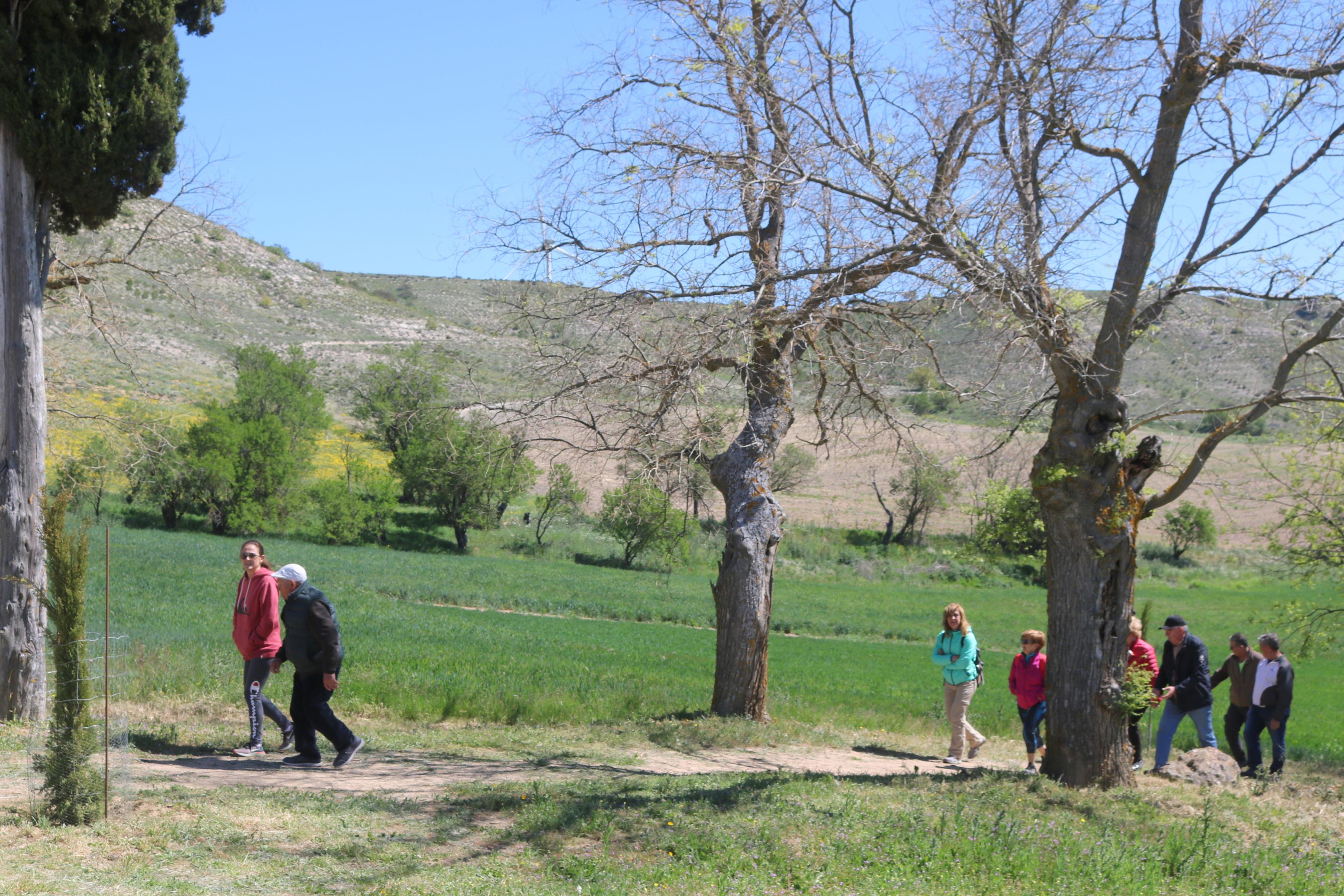 Pasear entre Lilas en Villaviudas