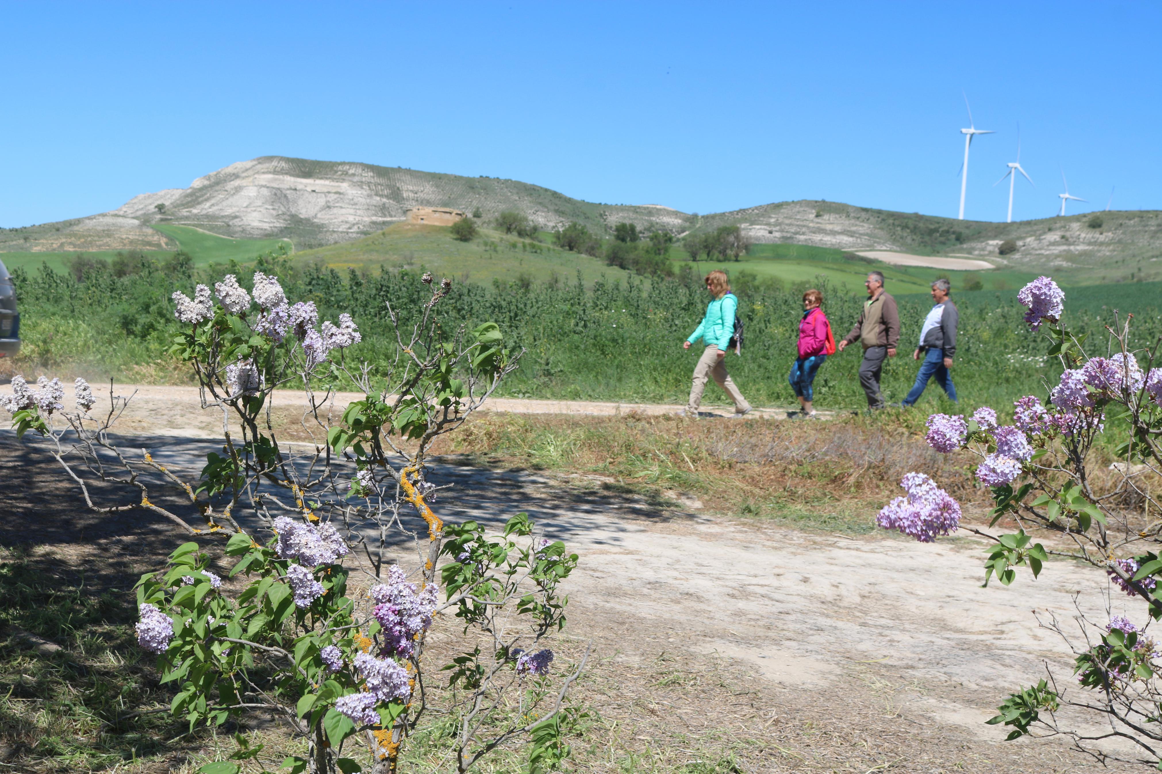 Pasear entre Lilas en Villaviudas