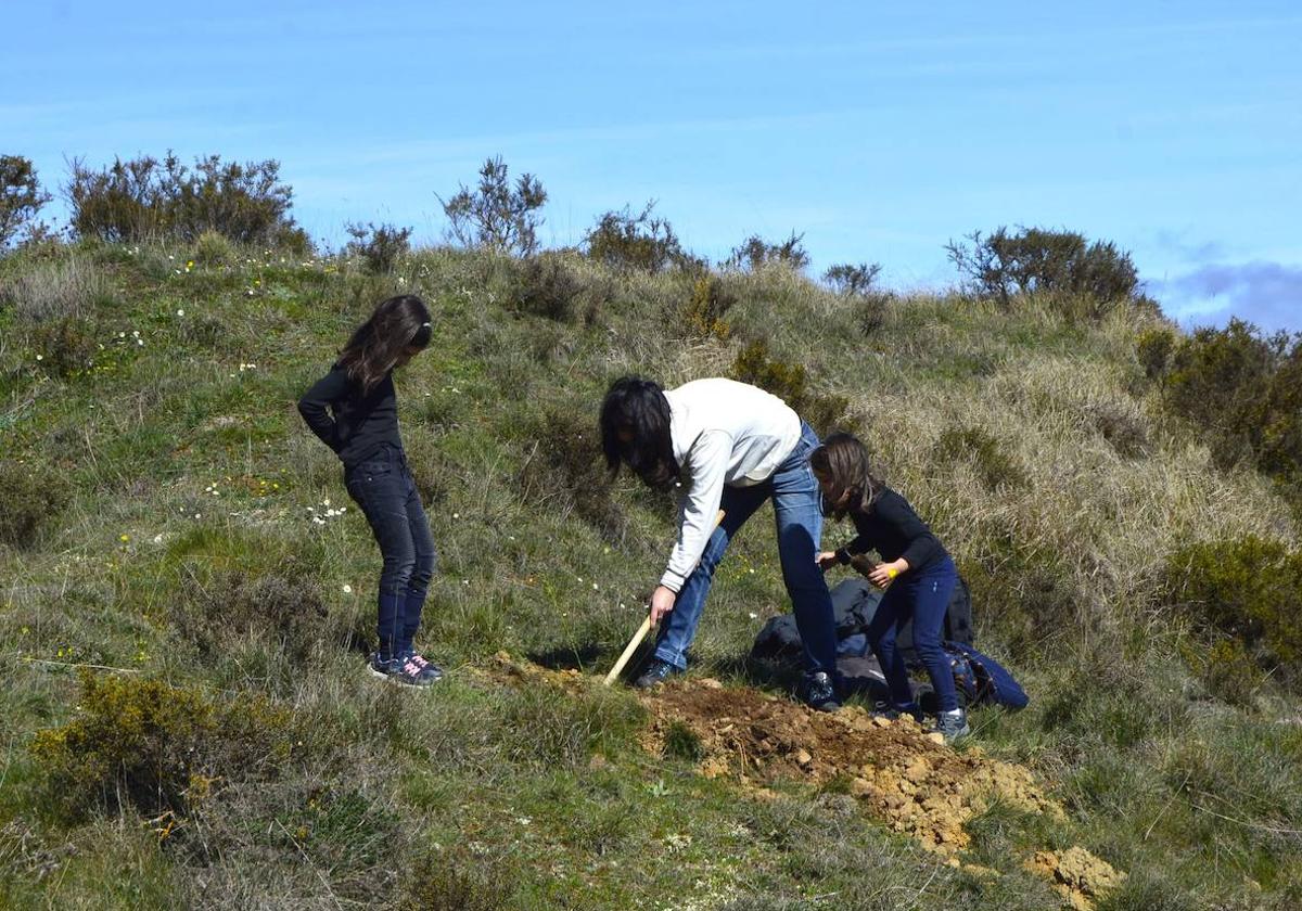 La Diócesis plantará 2.500 árboles este fin de semana en la actividad 'Hacemos bosque'