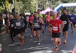Una carrera y una marcha para celebrar en Palencia el Día de Castilla y León
