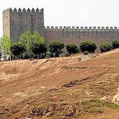 Acuña asola Tierra de Campos