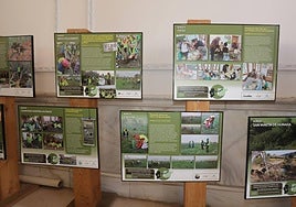 Exposición sobre voluntariado ambiental que alberga el vestíbulo de la Diputación hasta el 3 de mayo.
