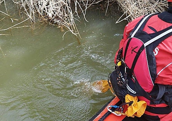 Los bomberos peinan este jueves las orillas del río Carrión.