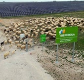 Impulso hacia un campo más verde, compromiso con la biodiversidad