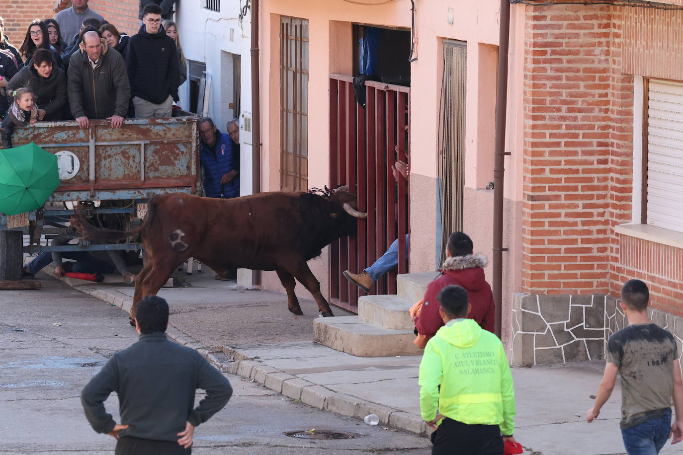 El encierro en San Román de Hornija, en imágenes