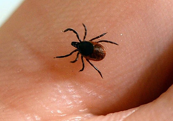 Hospital de Salamanca.