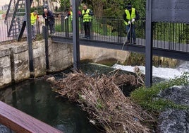 Voluntarios retiran troncos acumulados en el Esgueva, este sábado.