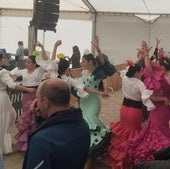 La lluvia empaña la feria flamenca de Olmedo