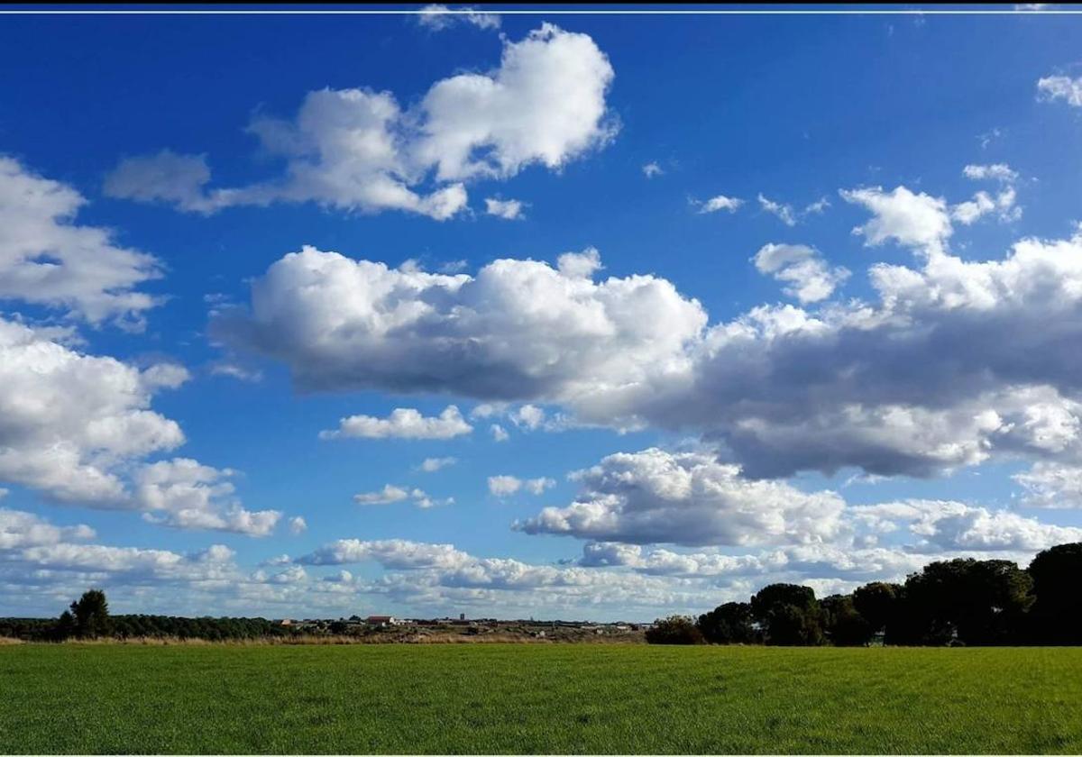 Paisaje, con Montemayor al fondo.