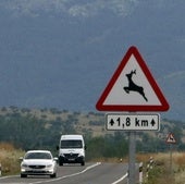 Los animales provocaron el 61% de los accidentes registrados en 2023