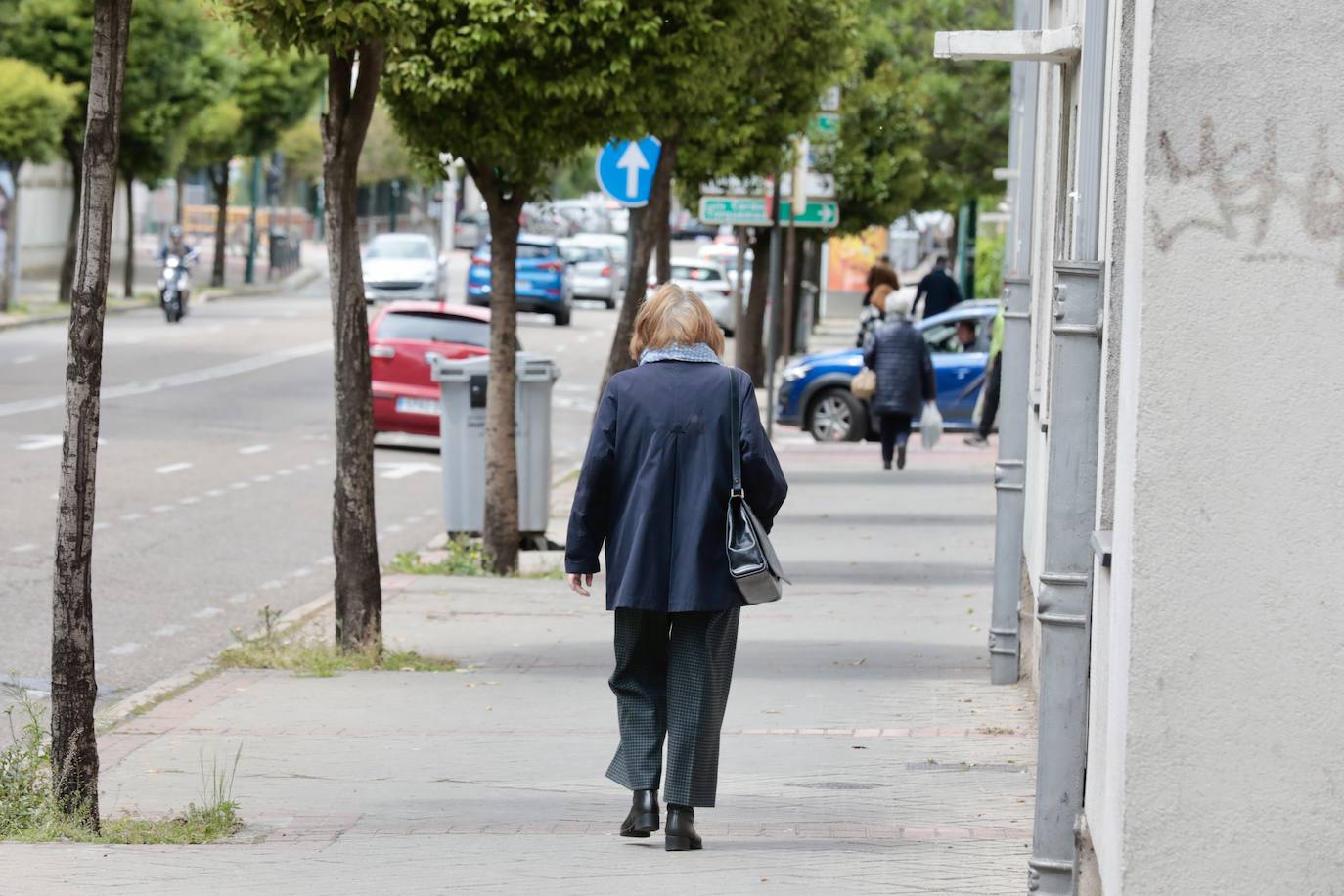 Un paseo en imágenes por la calle Rondilla de Santa Teresa de Valladolid