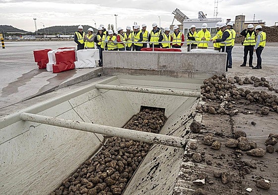 El denominado 'punto cero' de recepción de remolacha de Acor, para rebajar el consumo de agua.