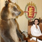 Qué fue del oso que se sentó en el Ayuntamiento de Valladolid