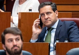 Raúl de la Hoz habla por teléfono desde su escaño en un pleno de las Cortes de Castilla y León.