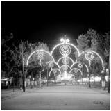 La feria de Segovia: de la Plaza Mayor al Regimiento