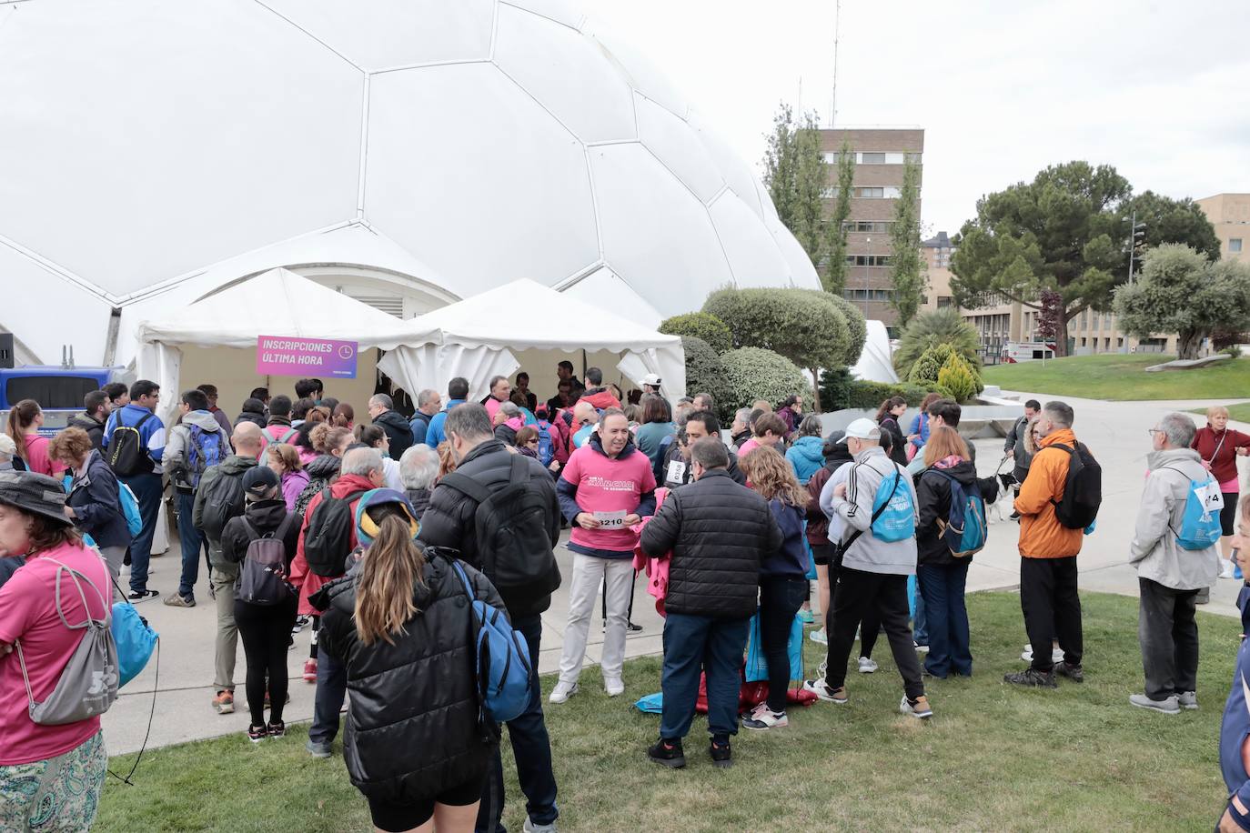 Las imágenes de la Marcha Asprona 2024 en Valladolid