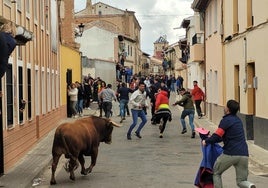 Una imagen del encierro en Mayorga.