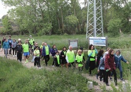 La Marcha Aspanis de Palencia, en imágenes