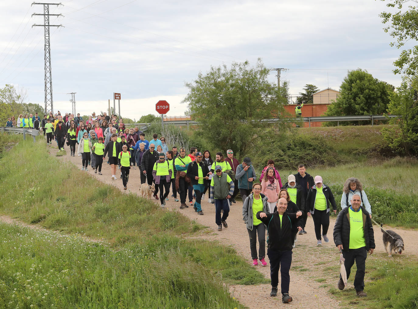 La Marcha Aspanis de Palencia, en imágenes