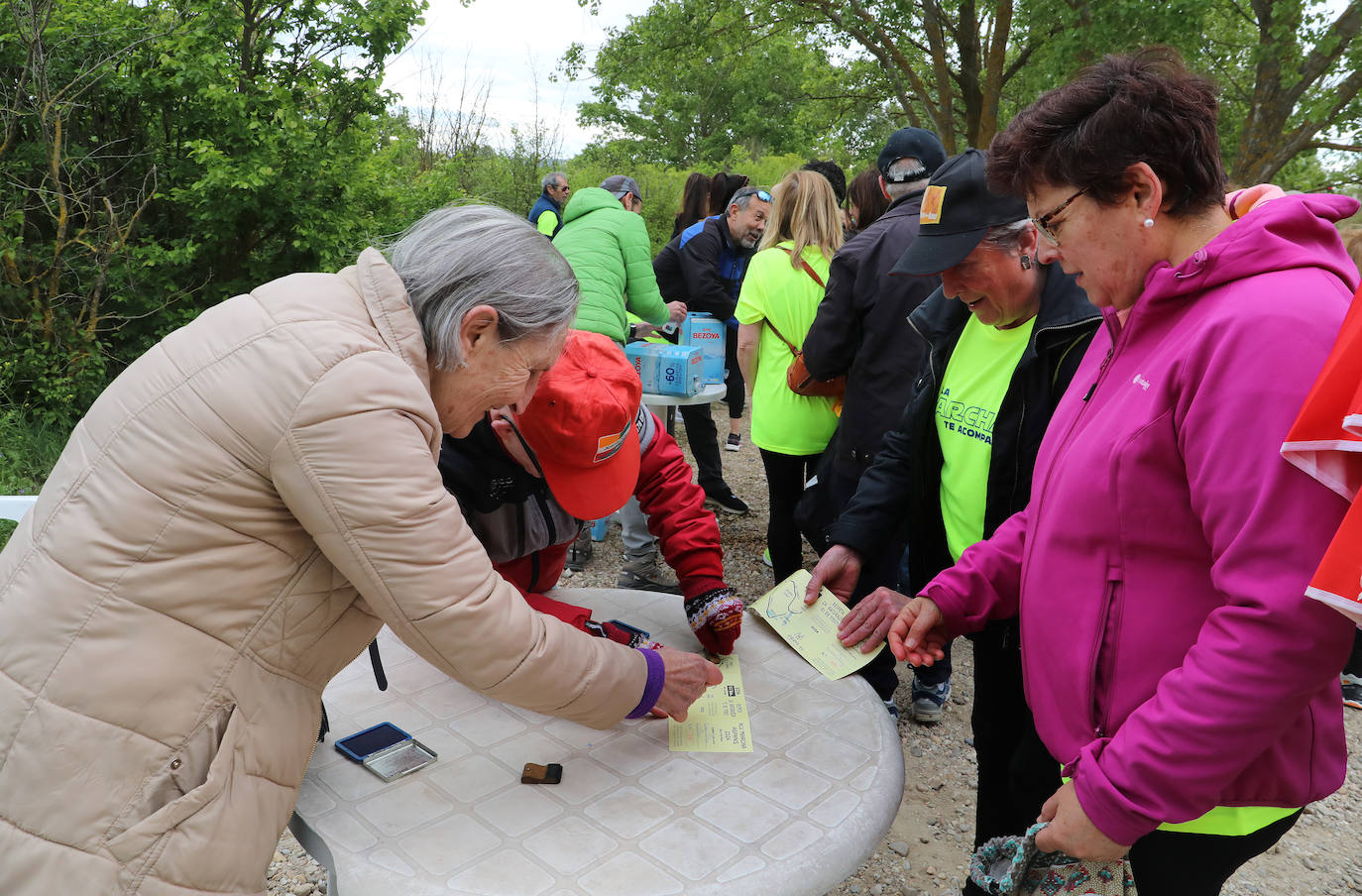 La Marcha Aspanis de Palencia, en imágenes