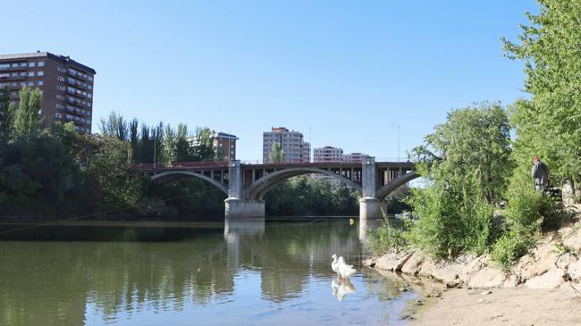 Imagen antes - Primer proyecto para ampliar el puente de Poniente a la espera de su revisión