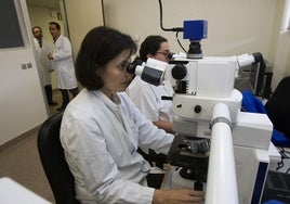 Técnico de laboratorio de Anatomía Patológica.