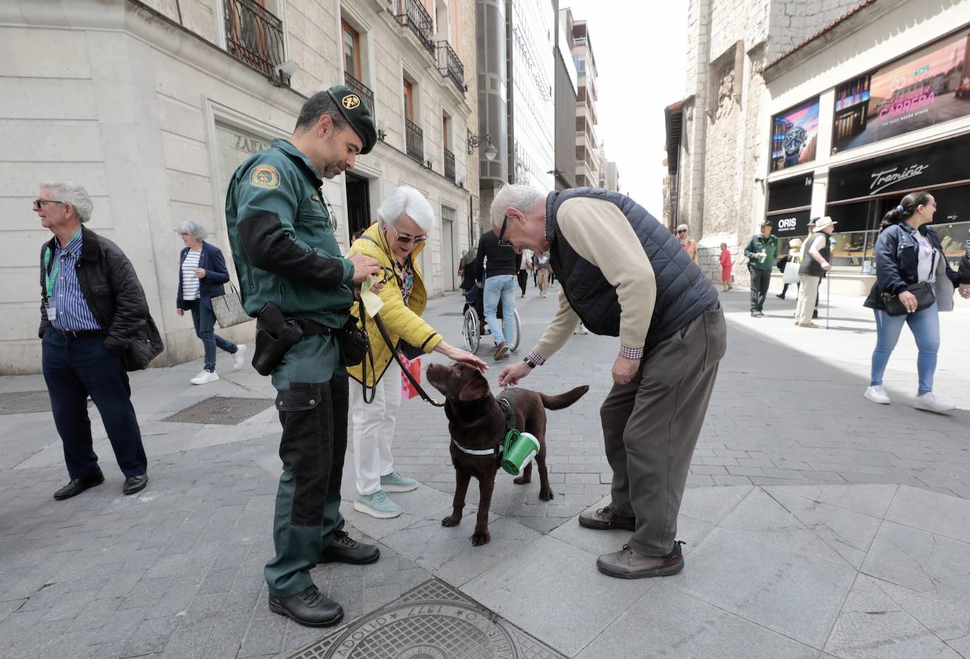 La cuestación contra el cáncer en Valladolid, en imágenes