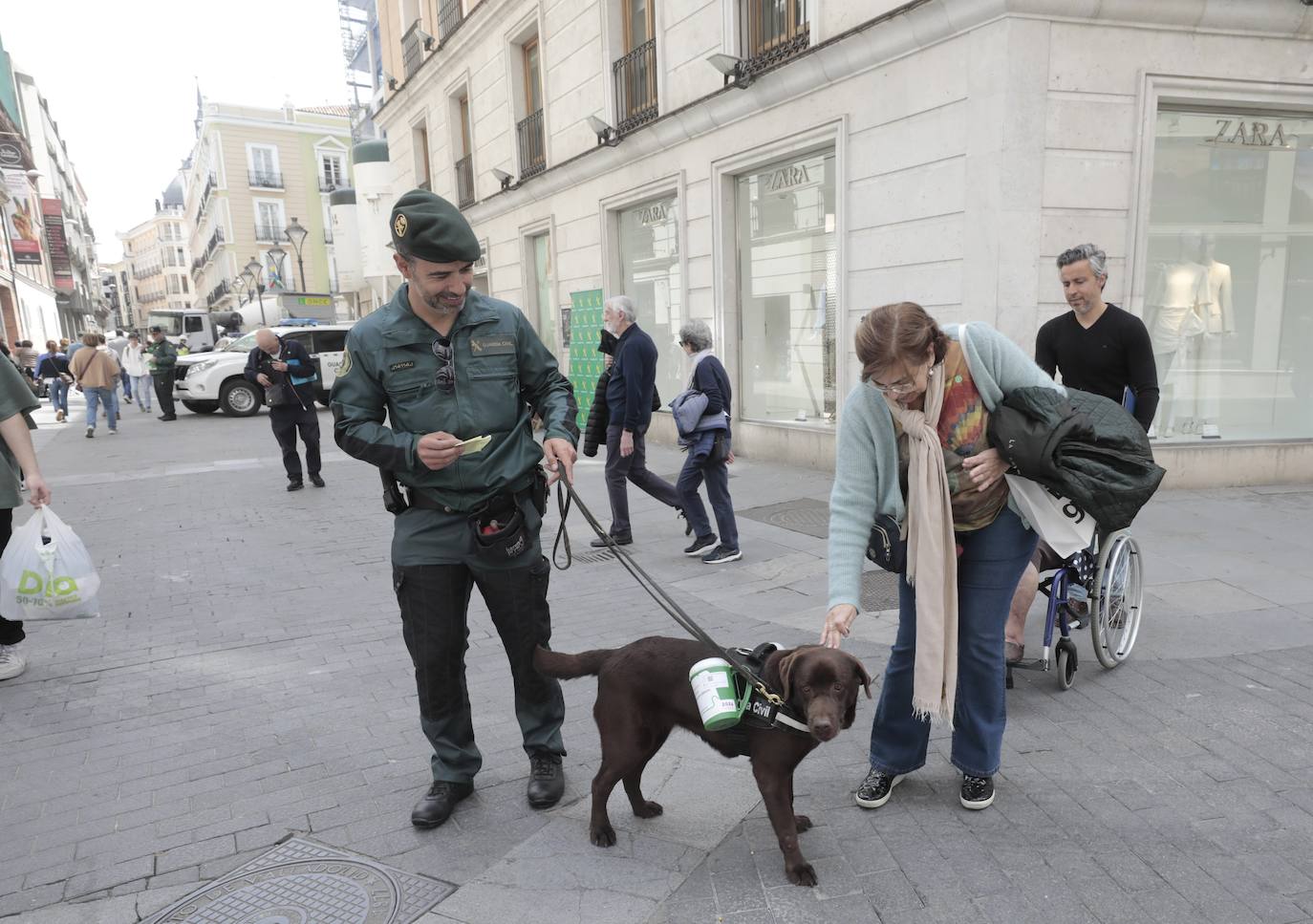 La cuestación contra el cáncer en Valladolid, en imágenes