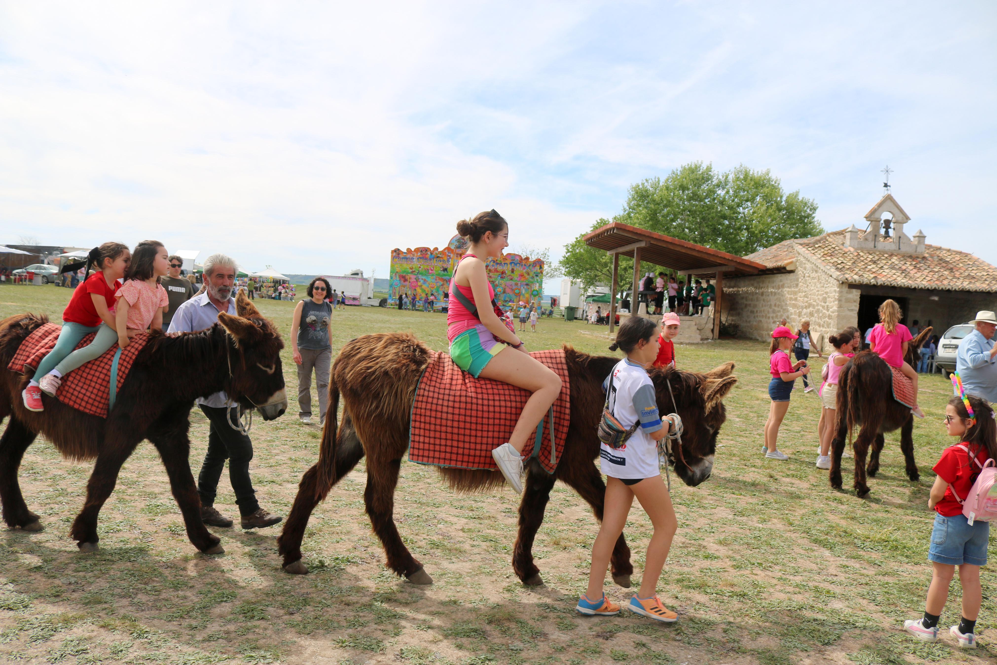 Romería en honor a San Gregorio en Baltanás