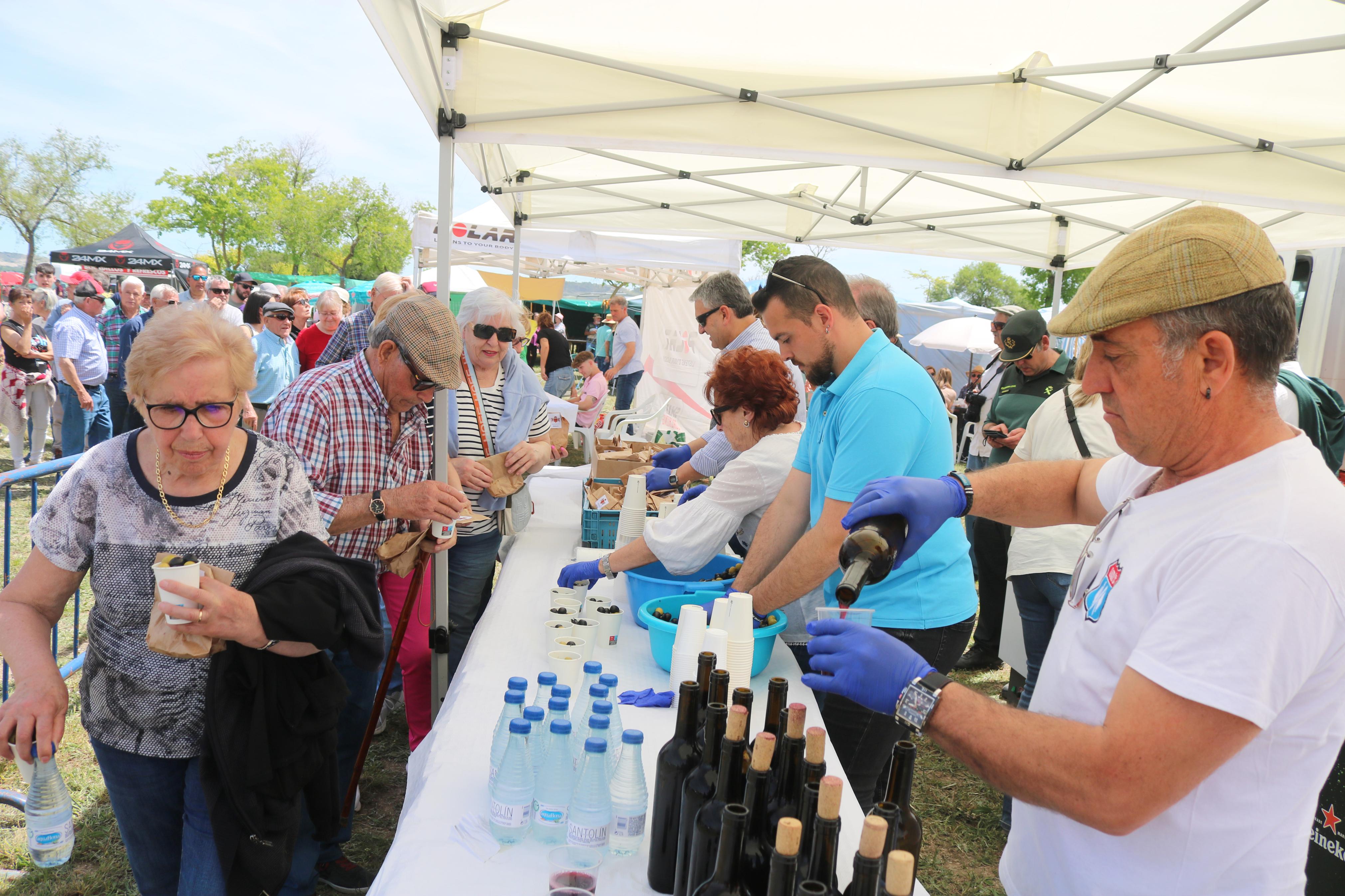 Romería en honor a San Gregorio en Baltanás