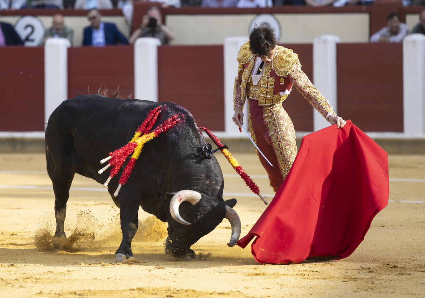 Un recorrido en imágenes de la novillada en la plaza de Toros