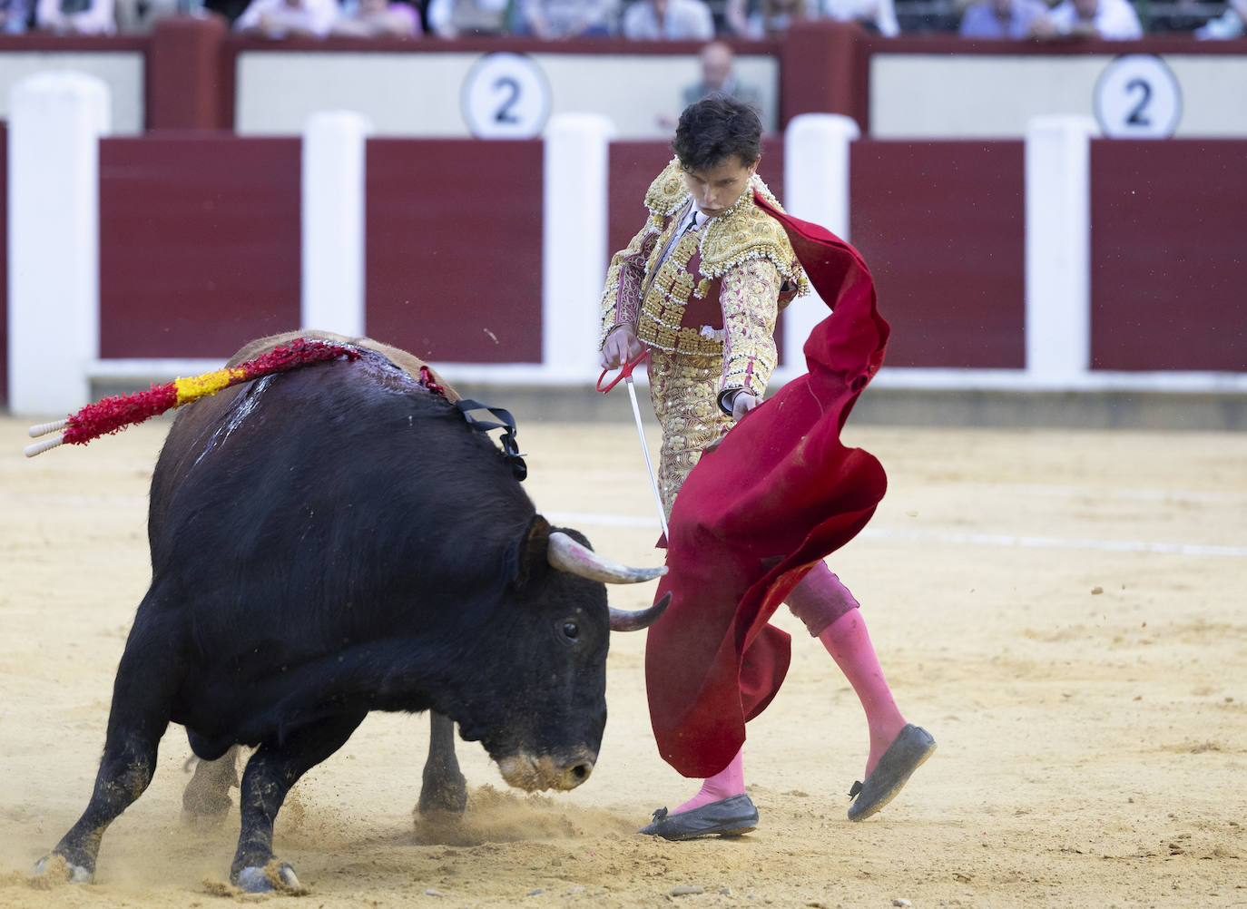 Un recorrido en imágenes de la novillada en la plaza de Toros