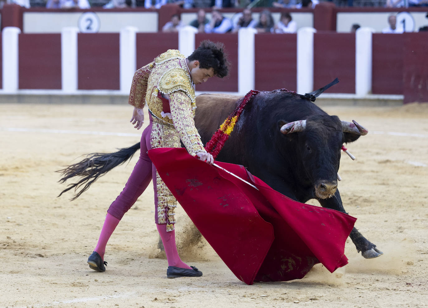 Un recorrido en imágenes de la novillada en la plaza de Toros