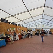 Medina del Campo se sumerge en la magia de la literatura con la III Feria del Libro
