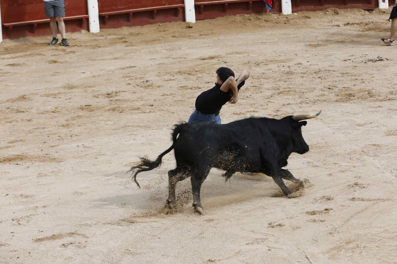 Las imágenes del encierro y la capea de Peñafiel