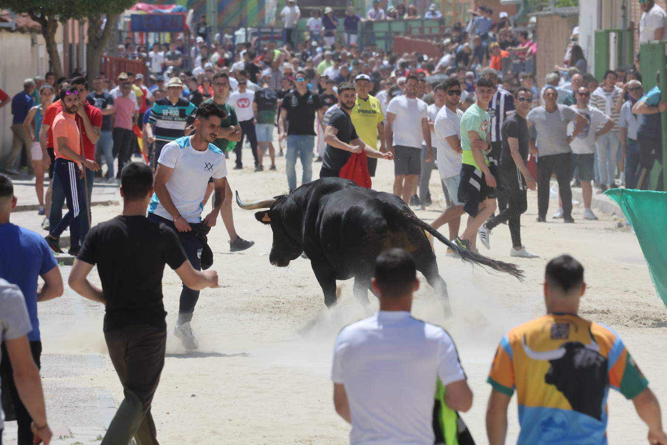 Primer encierro en Valdestillas con mucho público y ningún incidente