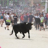 El festejo taurino popular llena Laguna, Valdestillas y Alaejos de aficionados