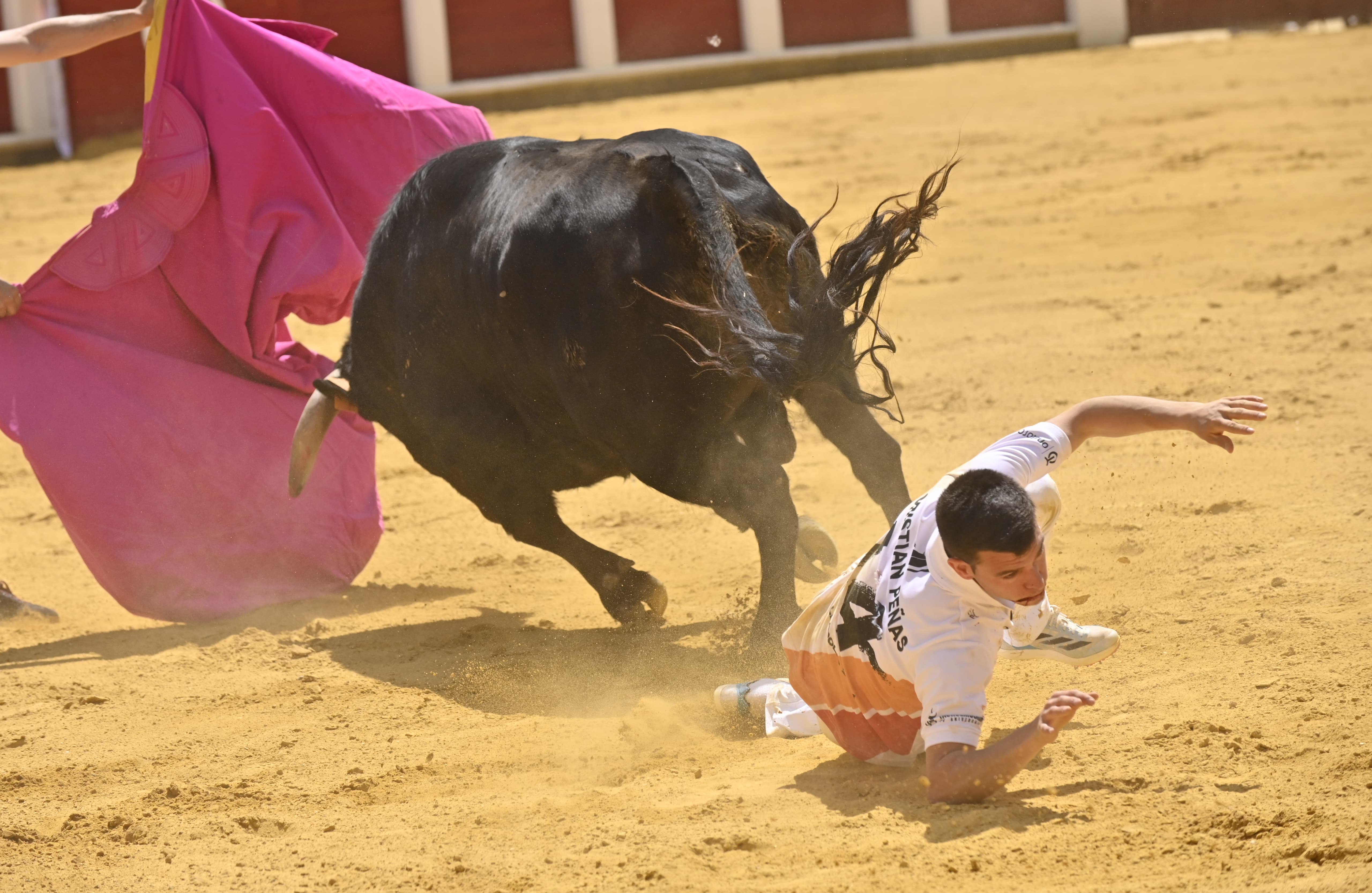 Secuencia de la cogida de Christian Peñas en el concurso de cortes de San Pedro Regalado