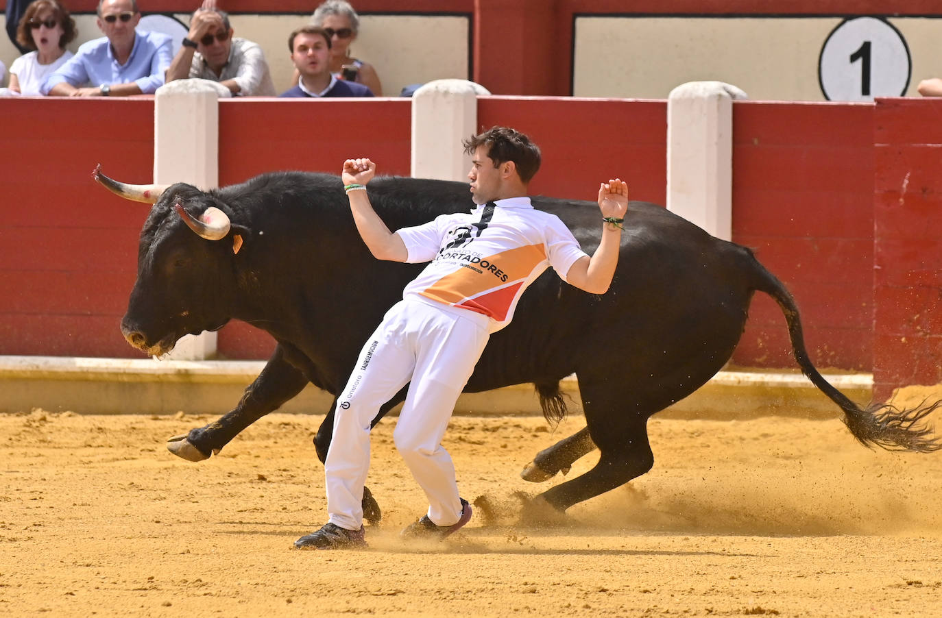 Concurso de cortes de San Pedro Regalado en Valladolid (1/2)