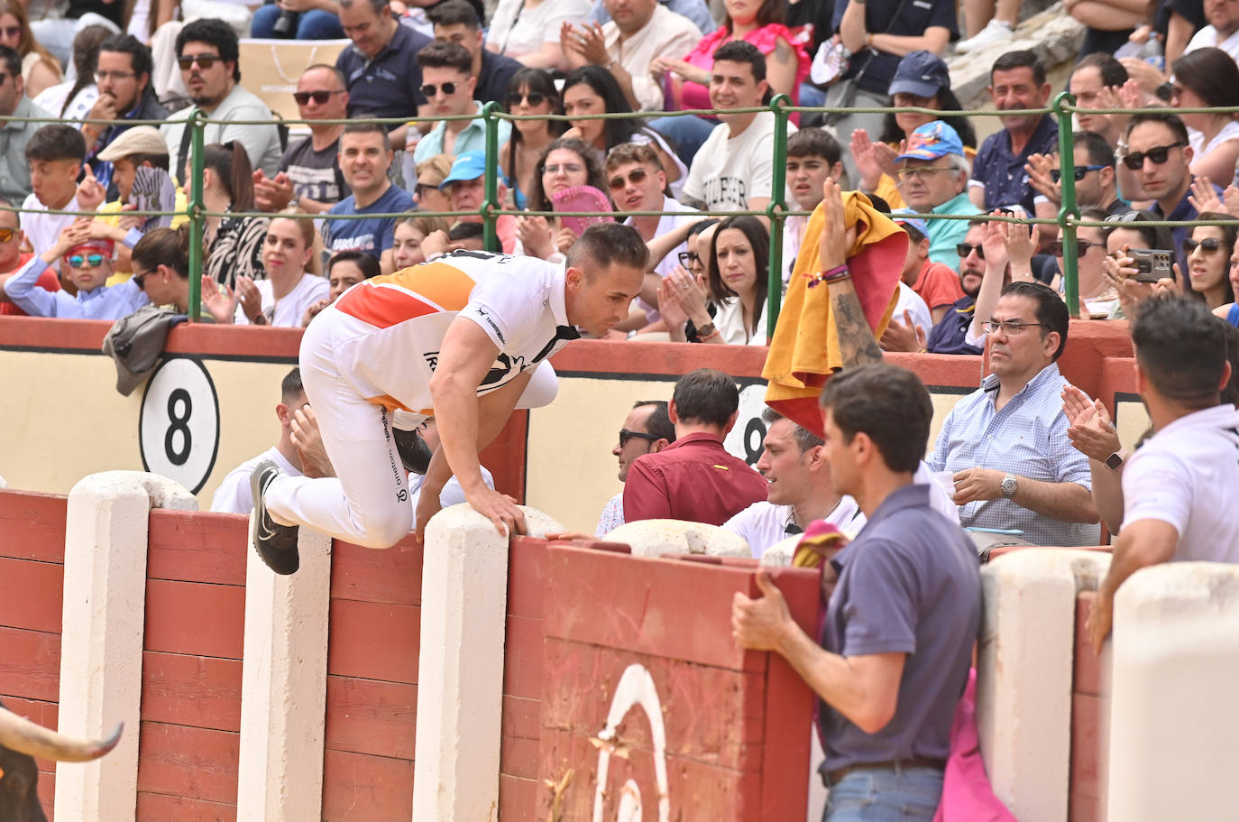 Concurso de cortes de San Pedro Regalado en Valladolid (1/2)