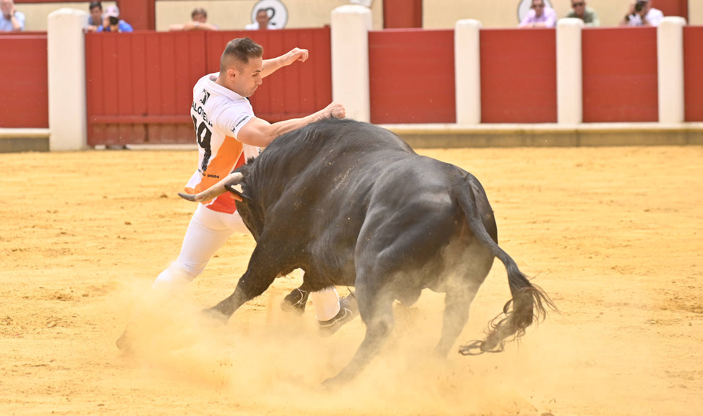 Concurso de cortes de San Pedro Regalado en Valladolid (2/2)