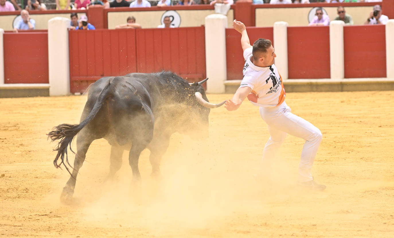 Concurso de cortes de San Pedro Regalado en Valladolid (2/2)