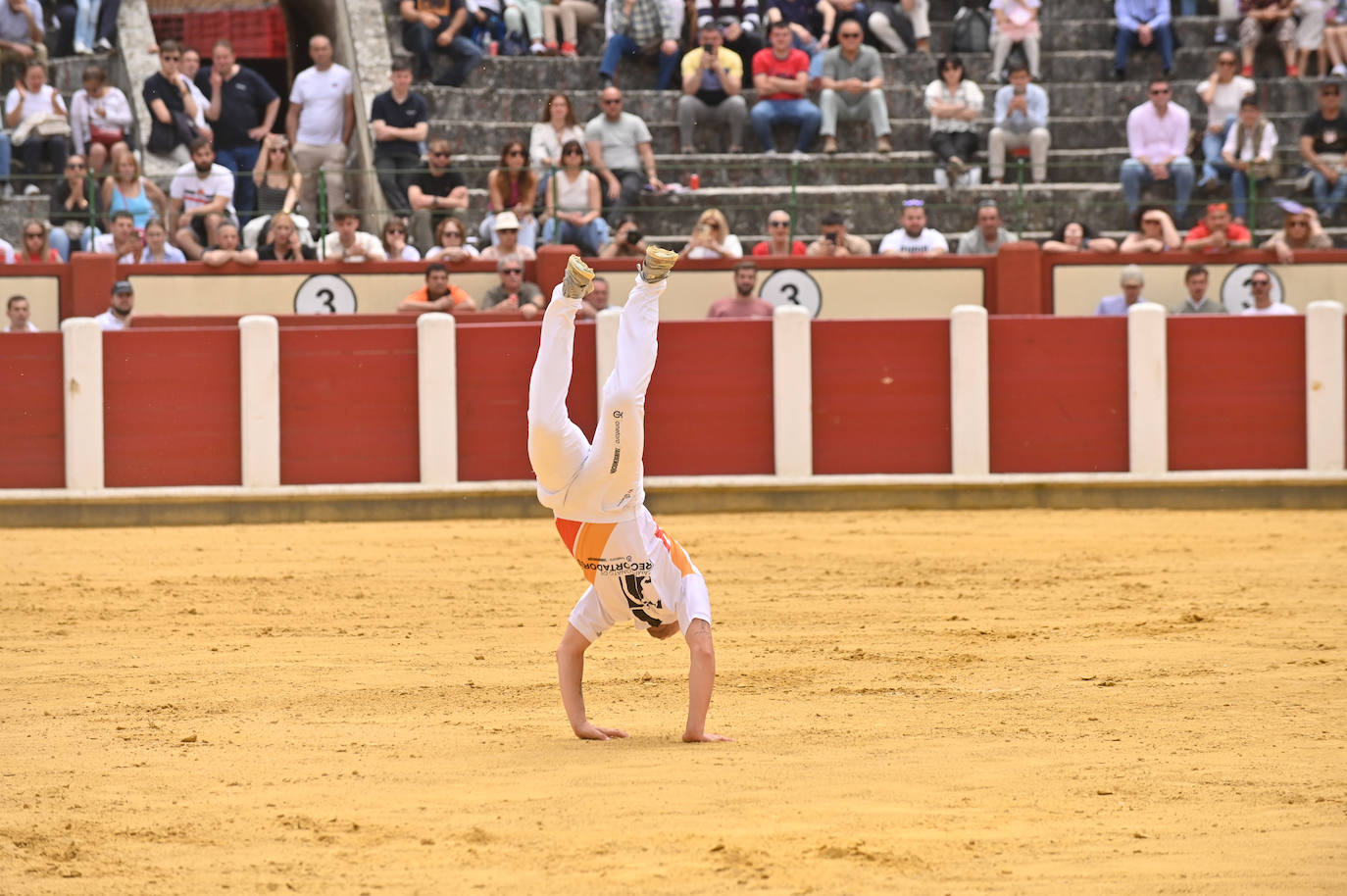 Concurso de cortes de San Pedro Regalado en Valladolid (2/2)