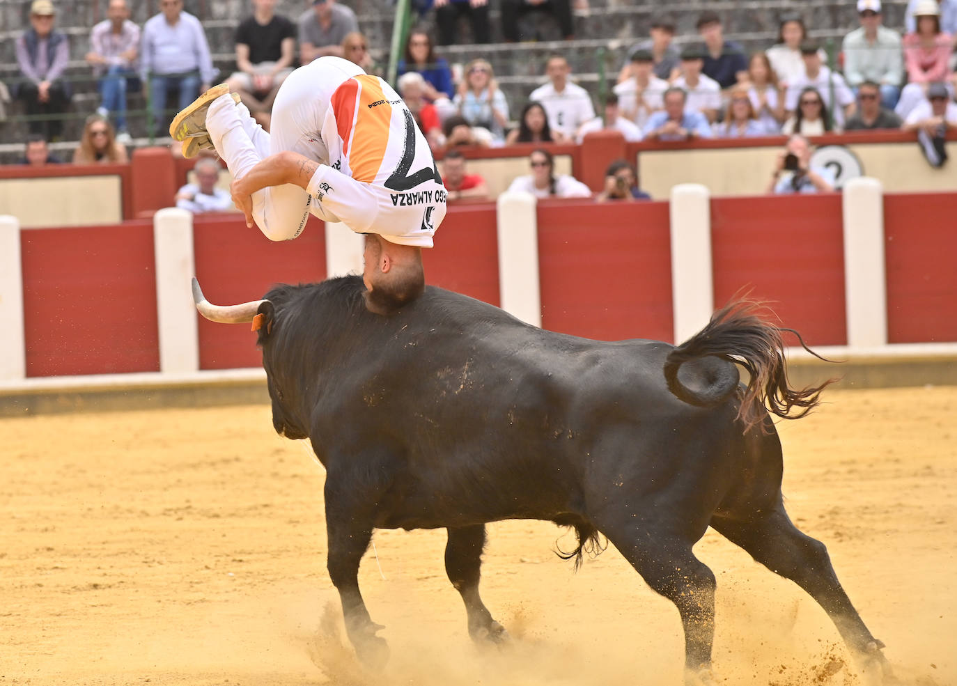 Concurso de cortes de San Pedro Regalado en Valladolid (2/2)