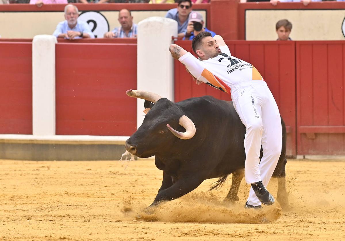 Concurso de cortes de San Pedro Regalado en Valladolid (2/2)