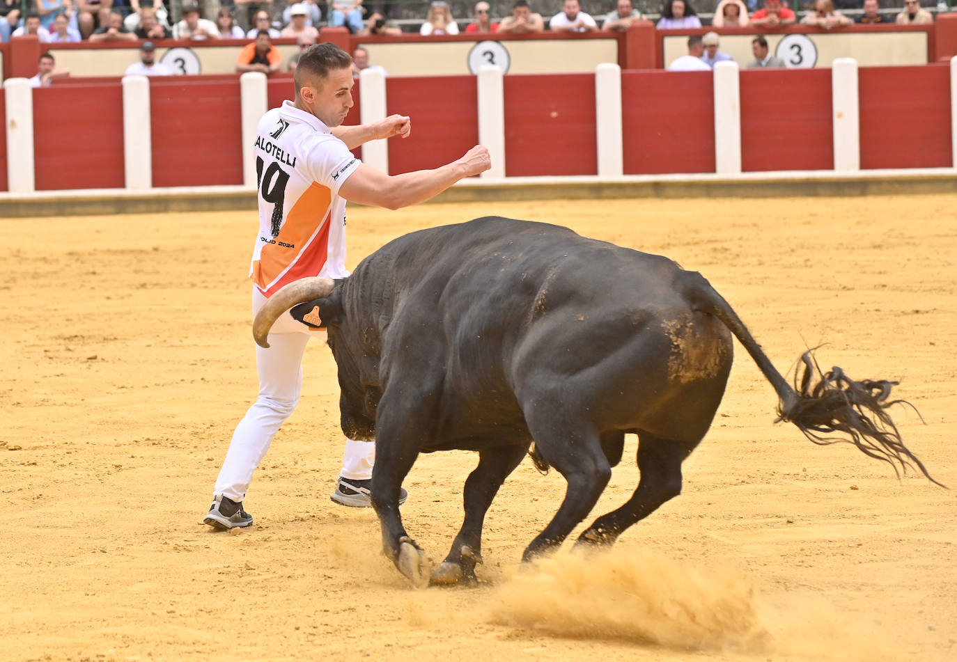 Concurso de cortes de San Pedro Regalado en Valladolid (2/2)